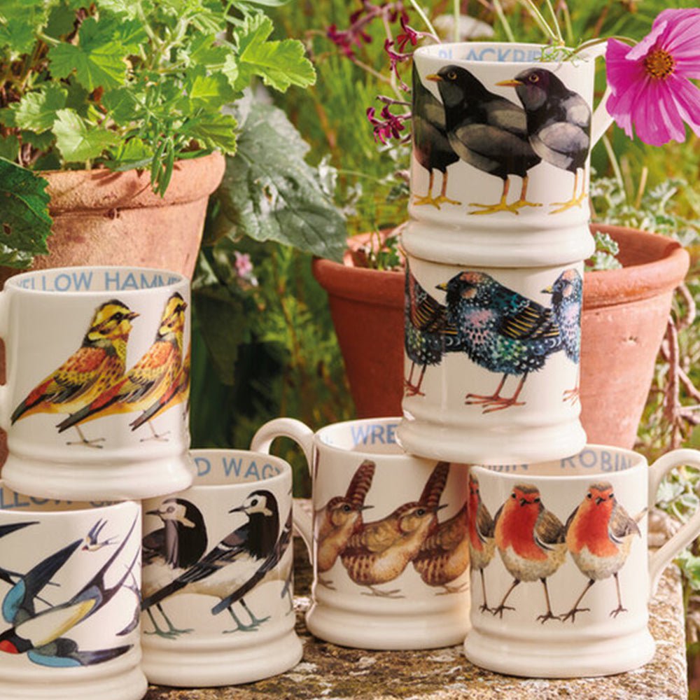 Emma Bridgewater Seconds Birds Robin 1/2 Pint Mug Unique Handmade & Handpainted English Earthenware Tea/Coffee Mug