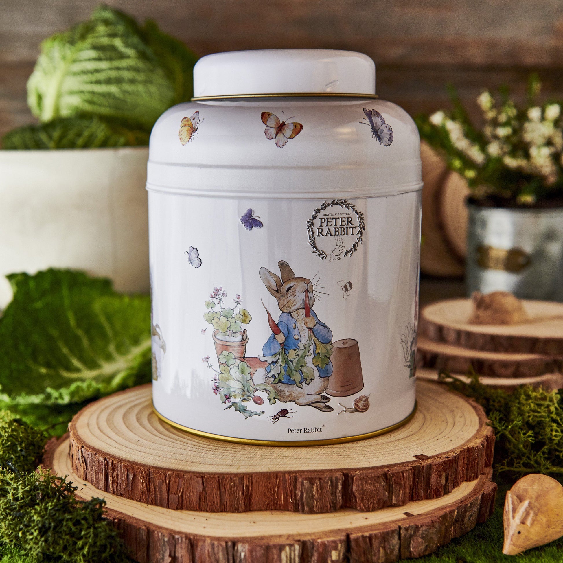 A mid-sized Tea Caddy from our World of Peter Rabbit licensed collection. Features original Peter Rabbit & friends illustrations that are an homage to Beatrix Potters magical story-telling and showcase familiar faces and scenes from the famous childr