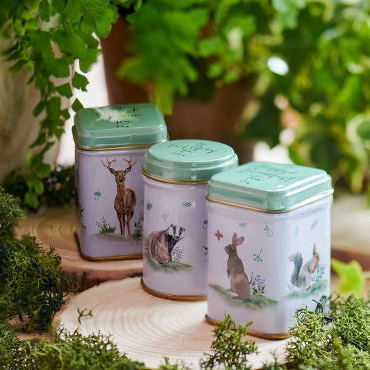 Our Woodland Friends Mini Tea Tin Gift Pack features beautiful watercolour drawings of our most beloved British wildlife such as the Robin, Badger, Rabbit, Deer and Barn Owl. These set of 3, highly collectable, super cute mini tea tins contain a rang